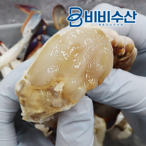 국내산 서해 손질꽃게 500g 속이꽉찬 절단꽃게 맛있게 먹은 솔직 후기 - 상품 이미지 2