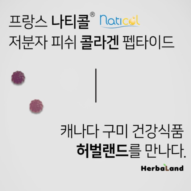 구미 저분자 가수분해 콜라겐 효능 젤리 피시콜라겐 동물성 프랑스 피쉬 콜라겐 단백질 어류 - 상세 이미지 5