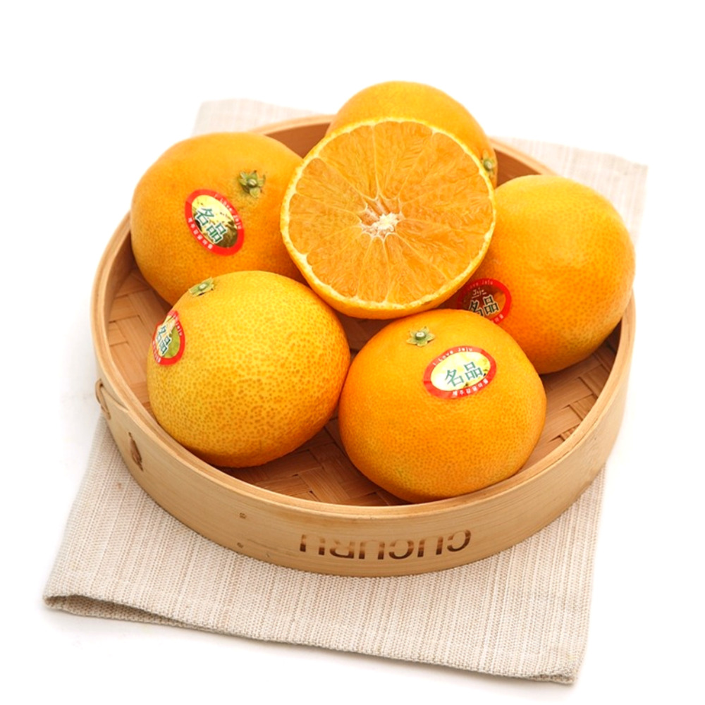 진심농부 제주도 고당도 황금향 프리미엄 가정용 선물용