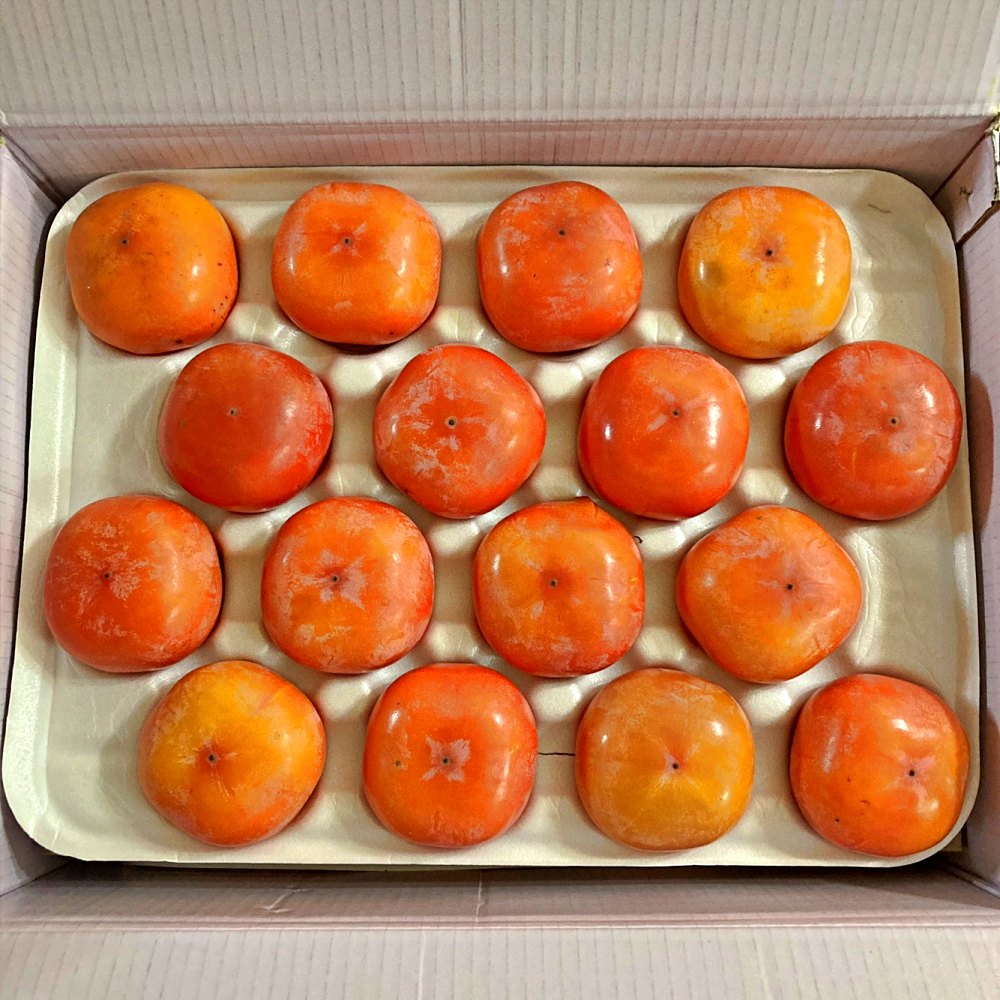 청도반시 씨없는감 연시 홍시 5kg 2.5kg 소과 중과 대과 특대과 저탄소 GAP - 상세 이미지 4