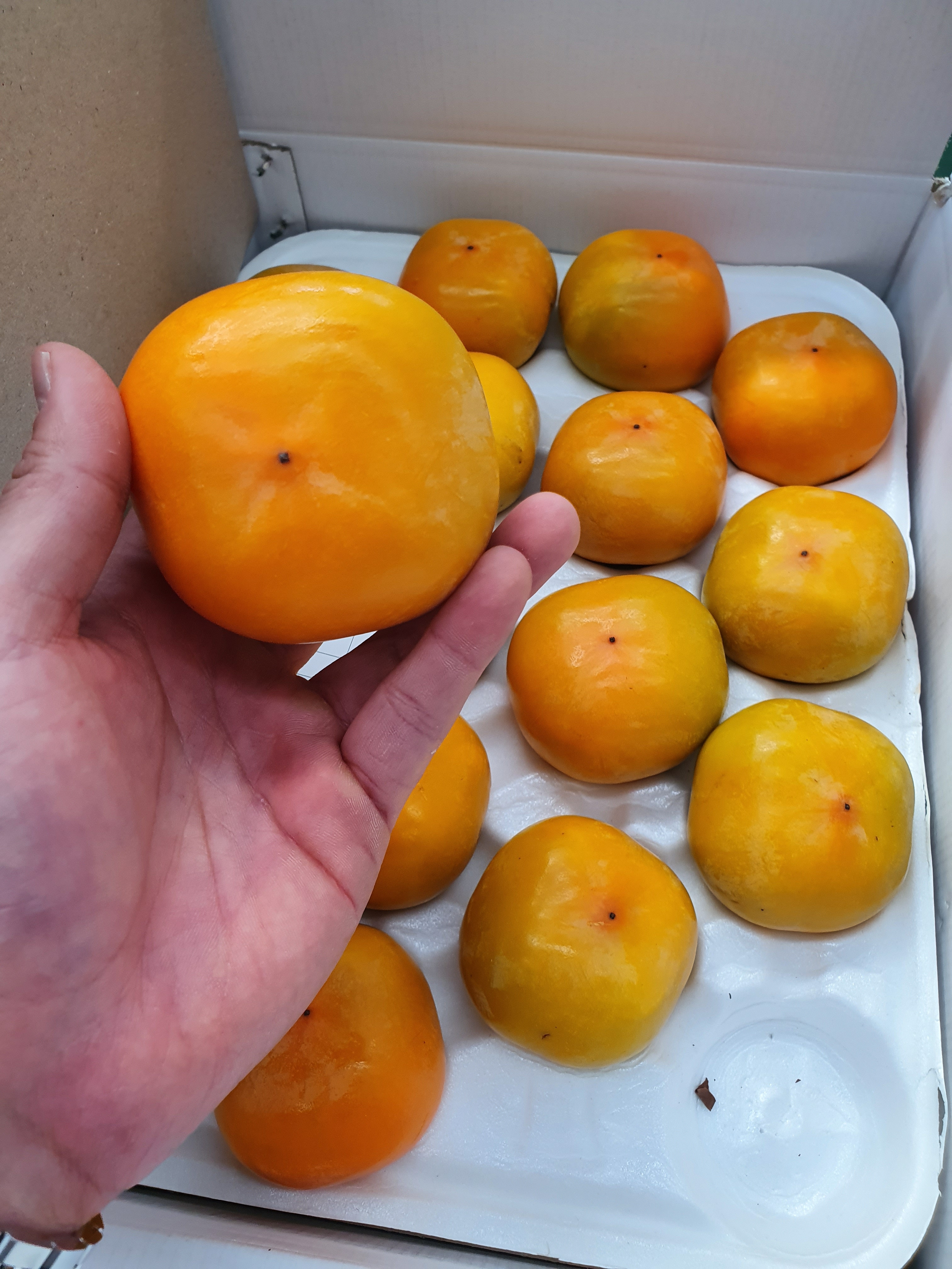 청도반시 씨없는 제철 홍시 연시감 5kg 고당도 단감 대봉감 연시 곶감용 - 상세 이미지 2