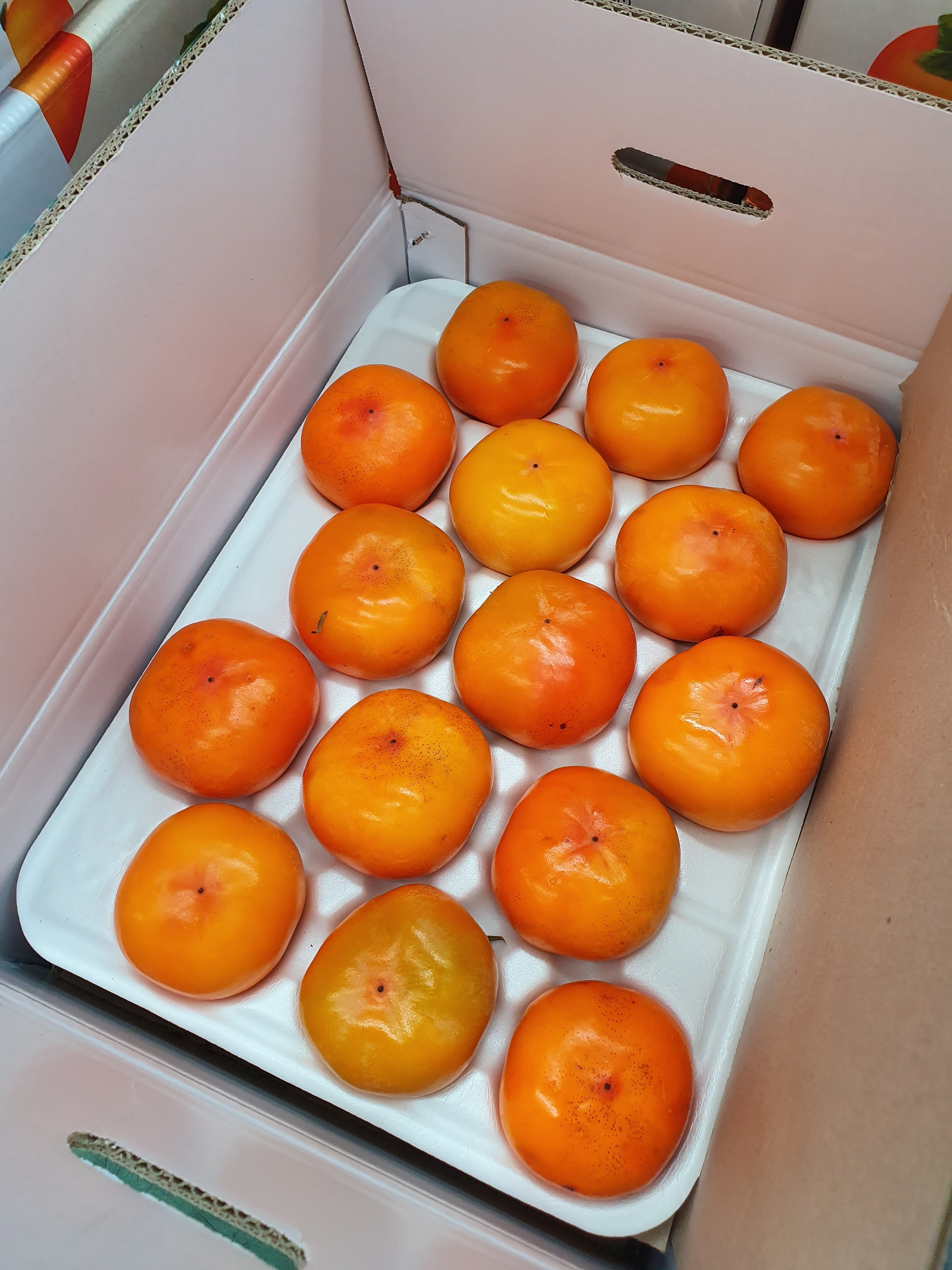 청도반시 씨없는 제철 홍시 연시감 5kg 고당도 단감 대봉감 연시 곶감용 - 상세 이미지 3