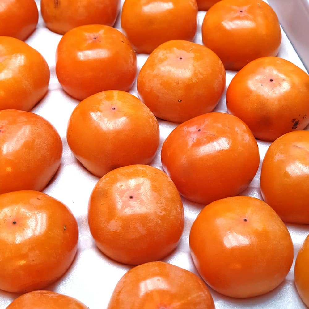 청도반시 씨없는 제철 홍시 연시감 5kg 고당도 단감 대봉감 연시 곶감용 이미지 6