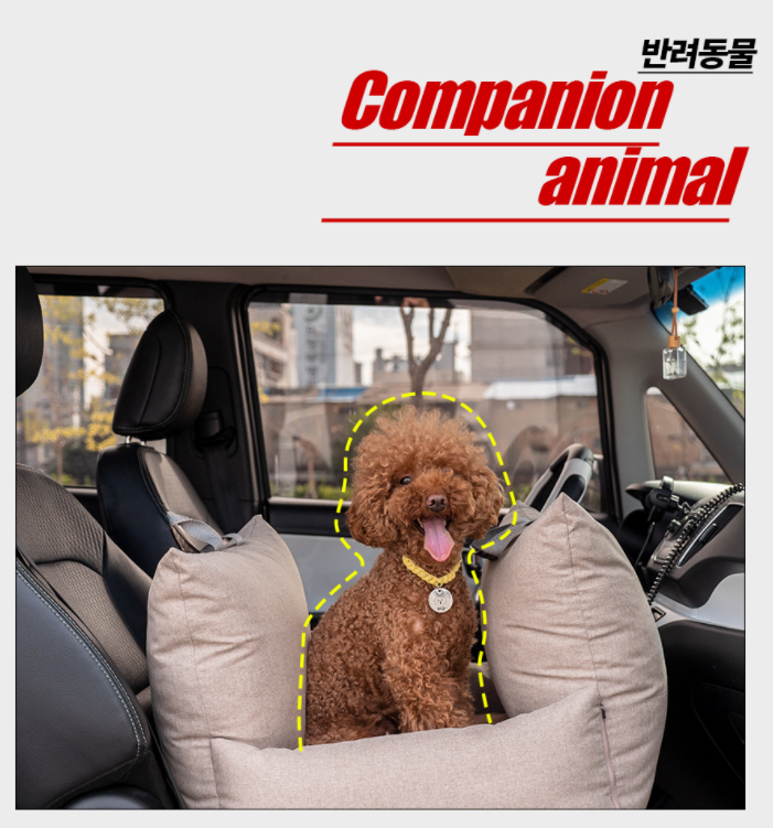 차량 냄새제거 내부 새차 담배냄새 중고 강아지 에어컨 실내세차 히터 소독 연막탄 살균소독