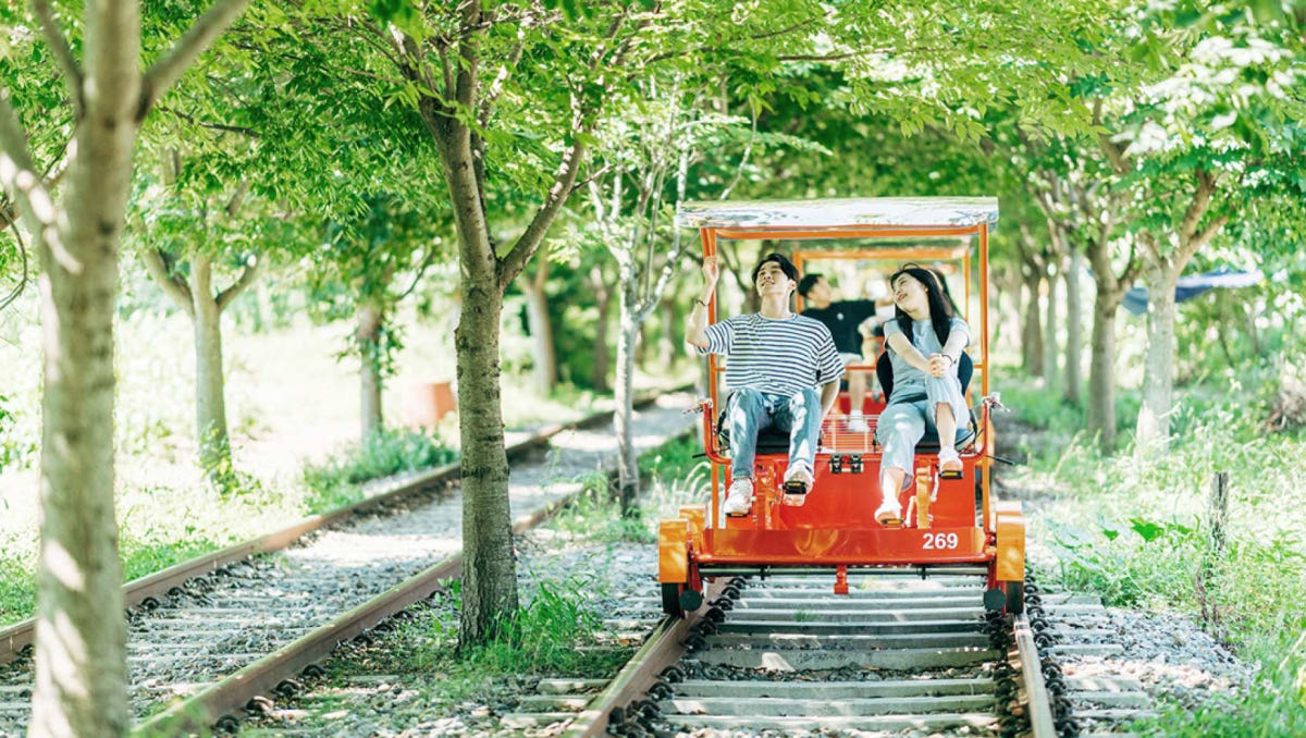 뜨거운청춘 강원도 경강 레일바이크 이용권