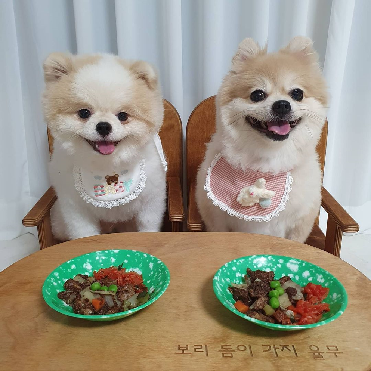 위닝푸드 강아지 소불고기 화식 반려견 수제 간식 사료 다이어트 알러지 습식