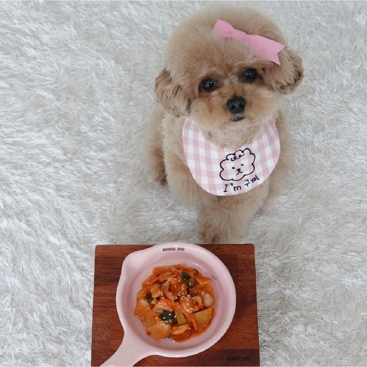 위닝푸드 강아지 소불고기 화식 반려견 수제 간식 사료 다이어트 알러지 습식