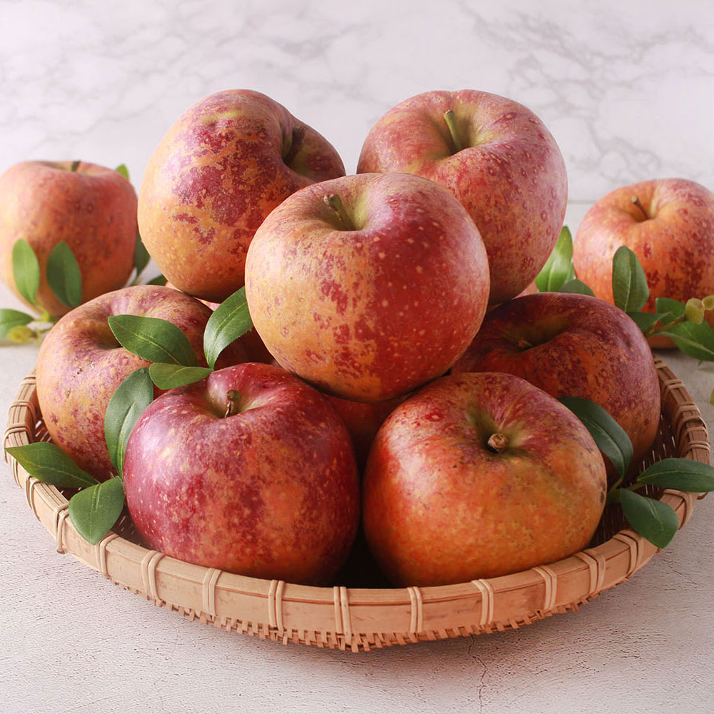 25년 청송 햇 감홍 사과 4kg 대한민국스타농장