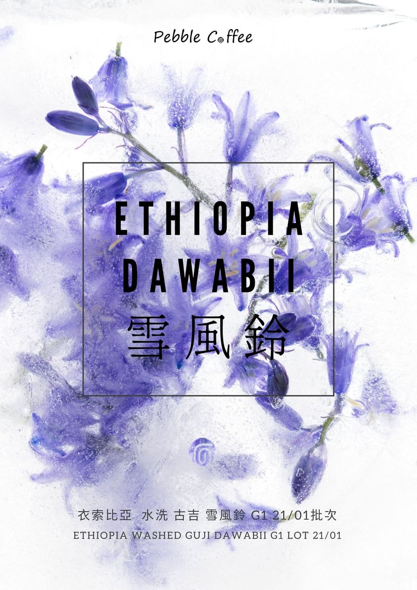 에티오피아 구지 다와비 워시드 G1 5KG (ETHIOPIA GUJI DAWABII WASHED G1 5KG)