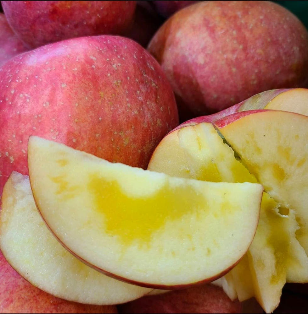 경북 청송 사과 홍로 부사 감홍 홍옥 시나노골드 황금사과 여름사과 아오리 썸머킹 가정용 흠집 못난이 꿀 사과 3kg 5kg 10kg : 청송홈골농원