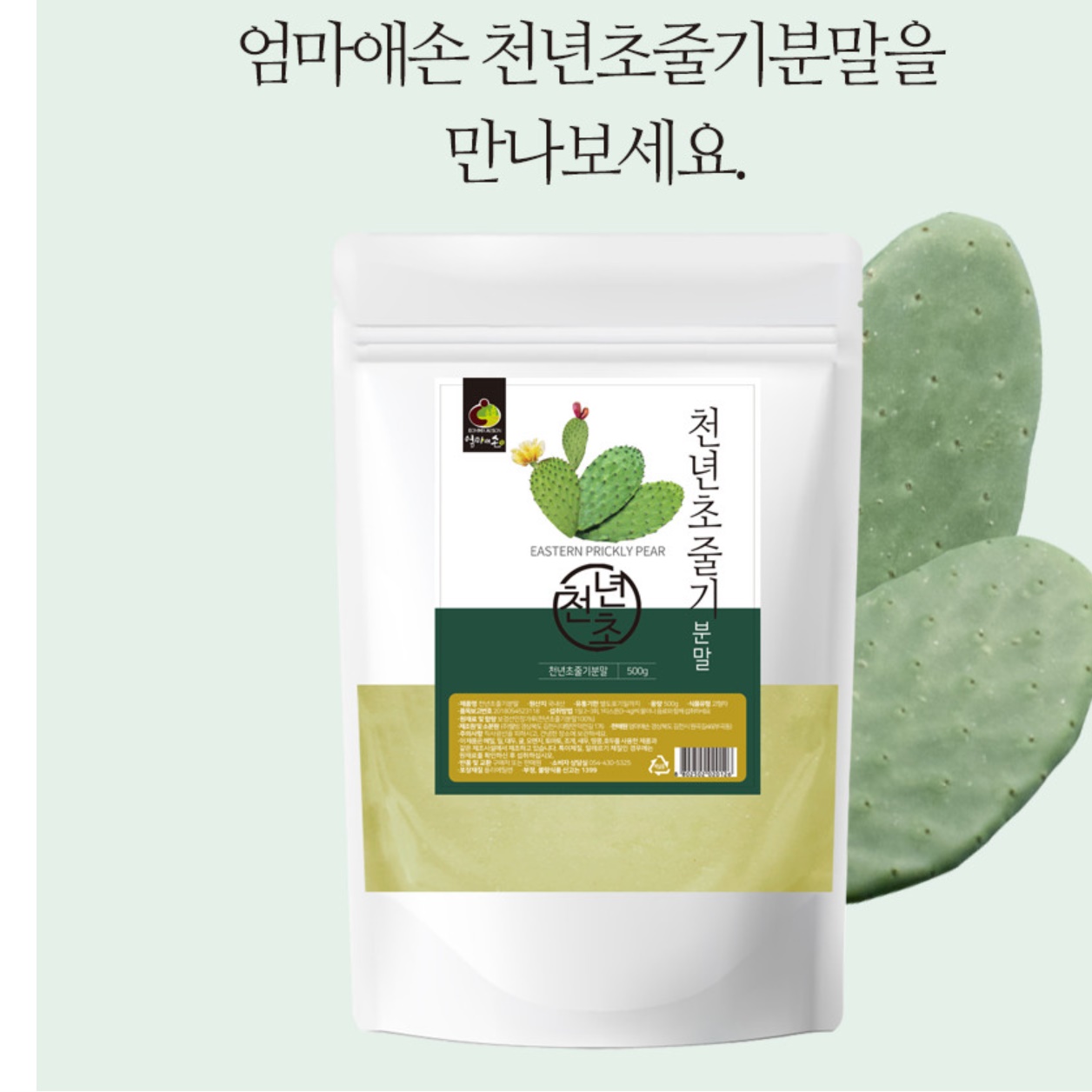 천년초 줄기 분말 천년초 파우더 가루 열매 선인장 백년초 이미지 6