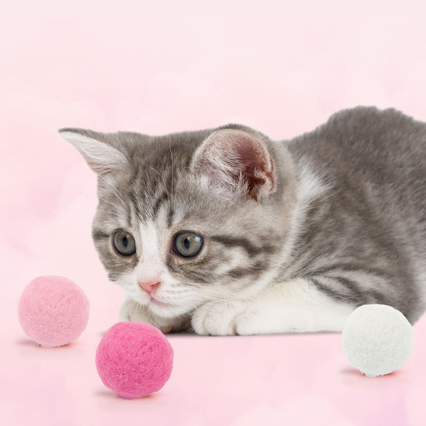 캣츠모리 찹쌀똑폼폼볼 고양이 양모볼