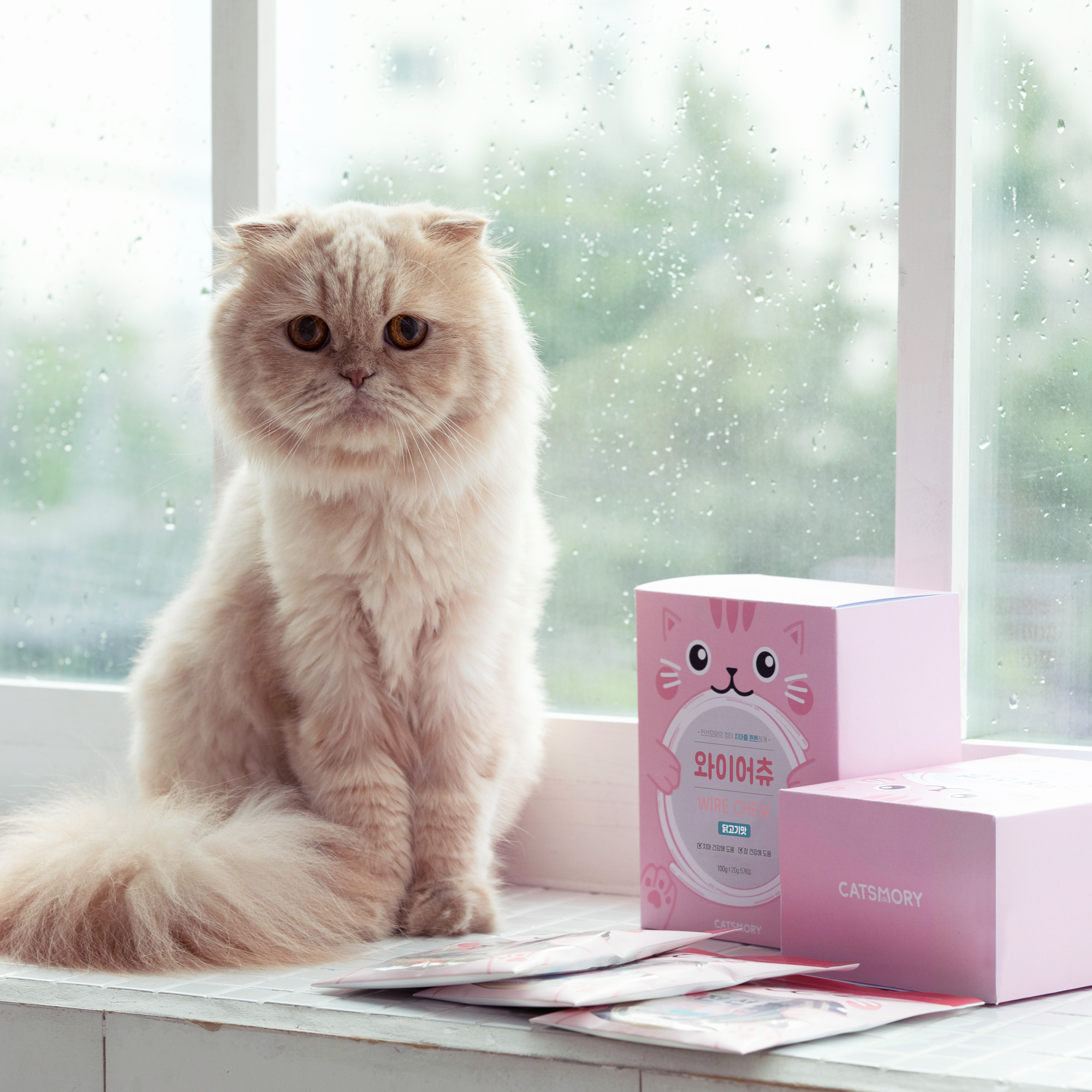 캣츠모리 와이어츄 고양이껌 덴탈껌 양치껌 치석제거 간식 닭고기, 105g, 1개