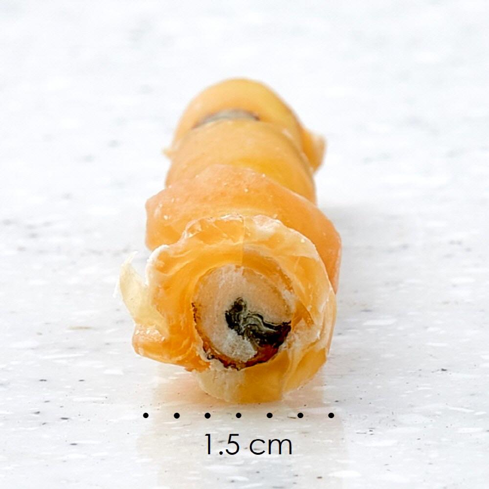 엘리야 트리플미트 강아지 치석 냄새 제거 간식 양치 우유 덴탈 껌 개껌 100G