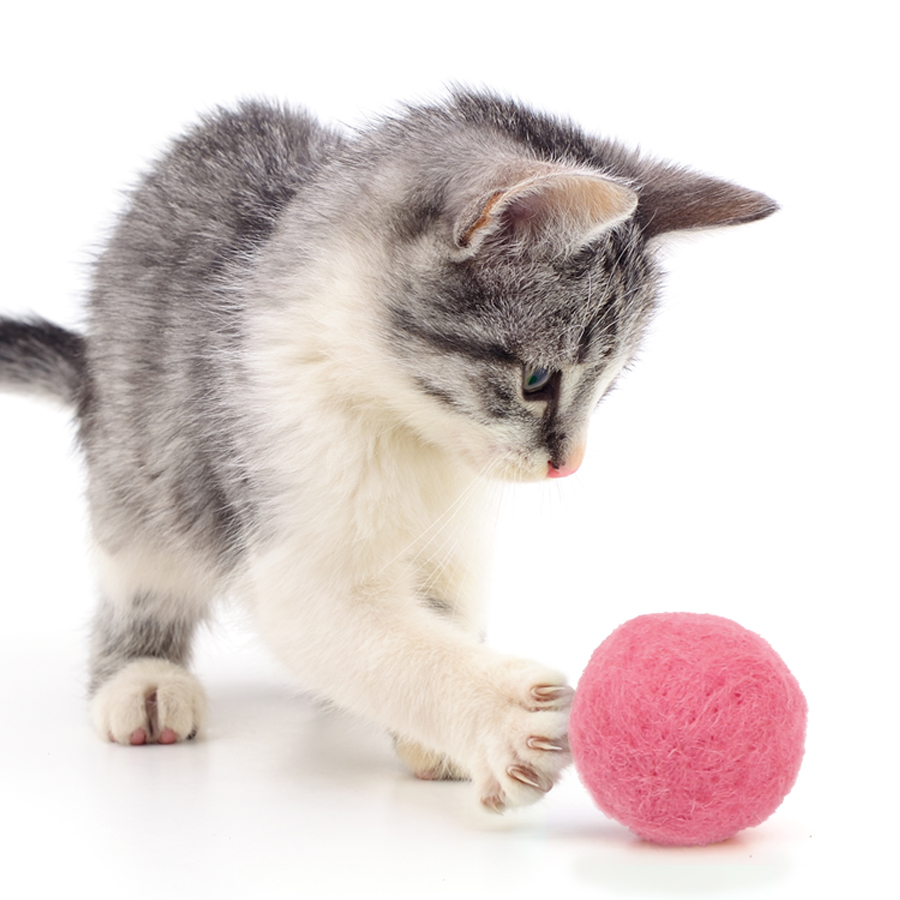 캣츠모리 찹쌀똑폼폼볼 고양이 양모볼 캣닢 마따따비 장난감 7개입