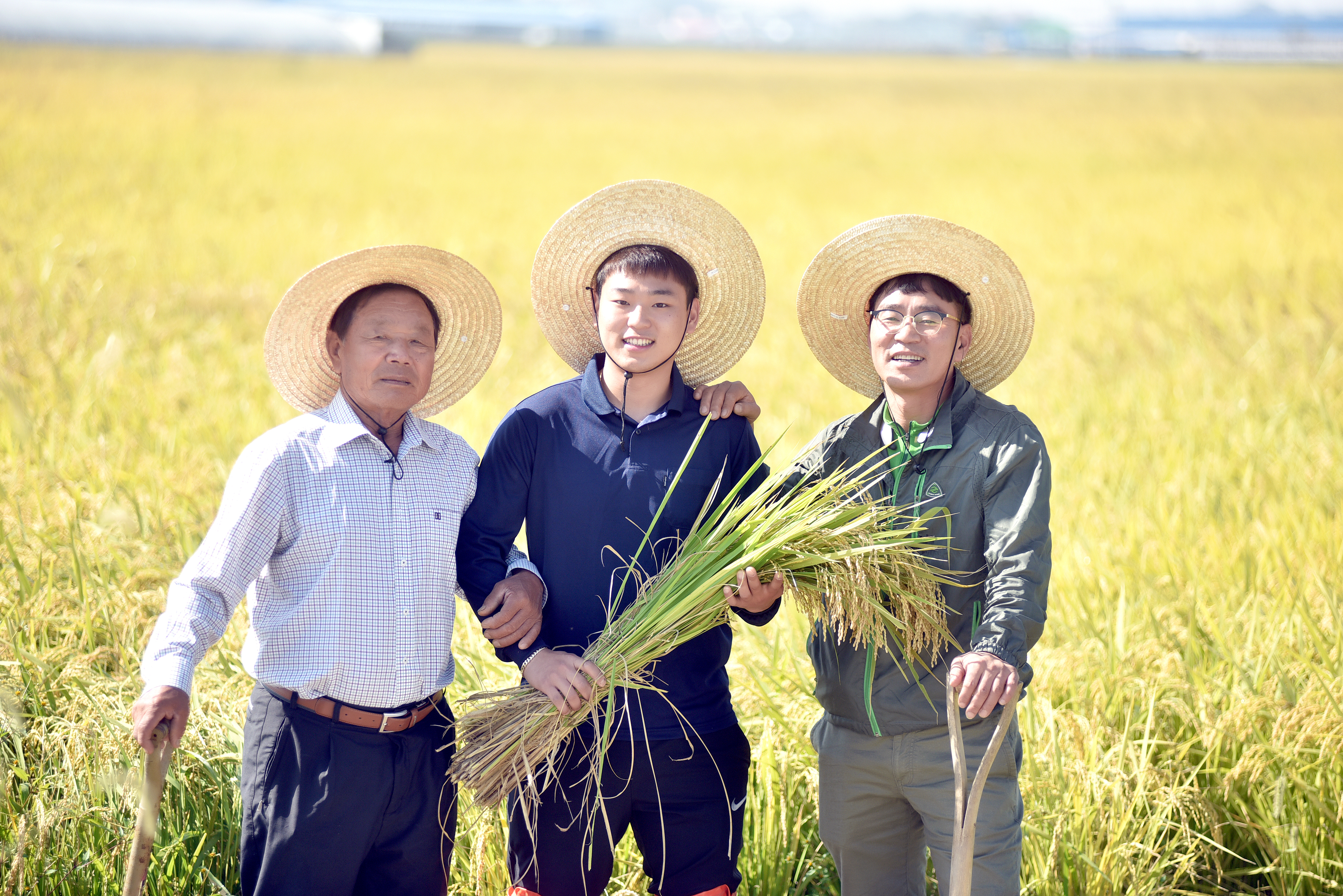 소문난농부 삼광 백미 5kg 10kg 20kg 당일도정 2025년산 햅쌀 이미지 2