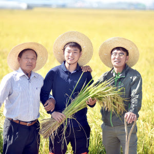 소문난농부 삼광 현미 5kg 10kg 20kg 당일도정 2025년산 햅쌀 맛있게 먹은 솔직 후기 - 상품 이미지 3