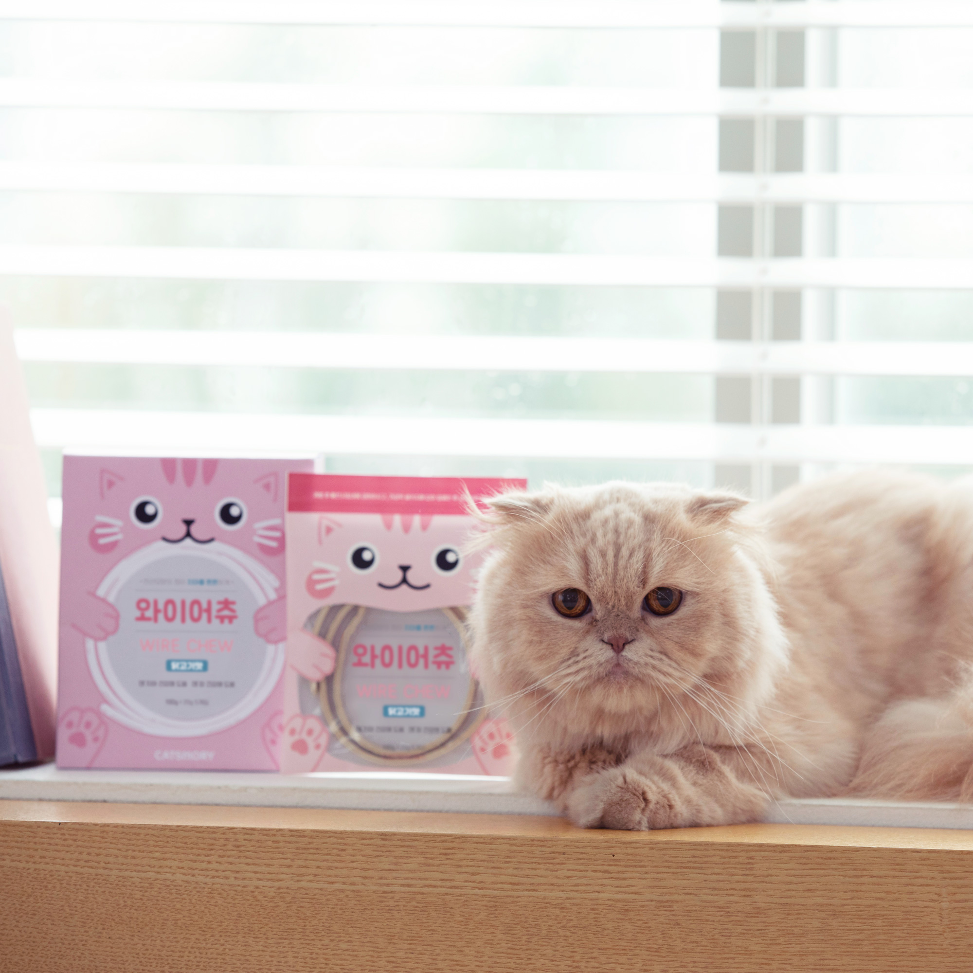 캣츠모리 와이어츄 고양이껌 덴탈껌 양치껌 치석제거 간식 닭고기, 105g, 1개