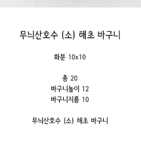 거실화초 무늬산호수 현관에두면 좋은식물 가정에서 키우기 쉬운실내공기정화식물 아파트 베란다