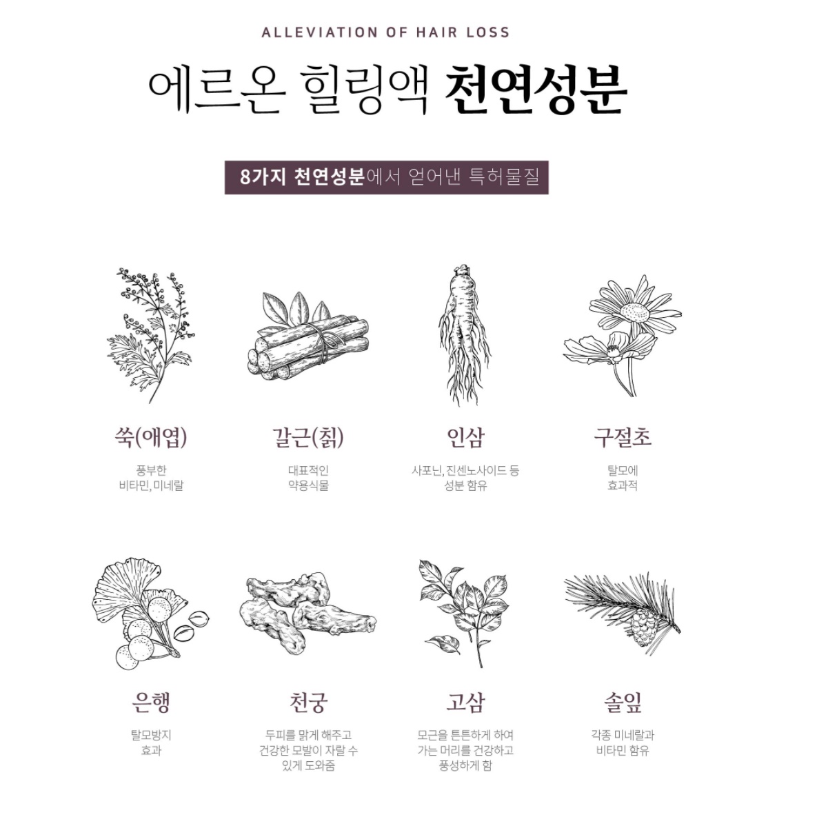 남자 여성 탈모방지삼푸 천연 에르온 정수리 청소년 가르마 원형 M자 효과좋은 탈모샴푸 - 상세 이미지 3