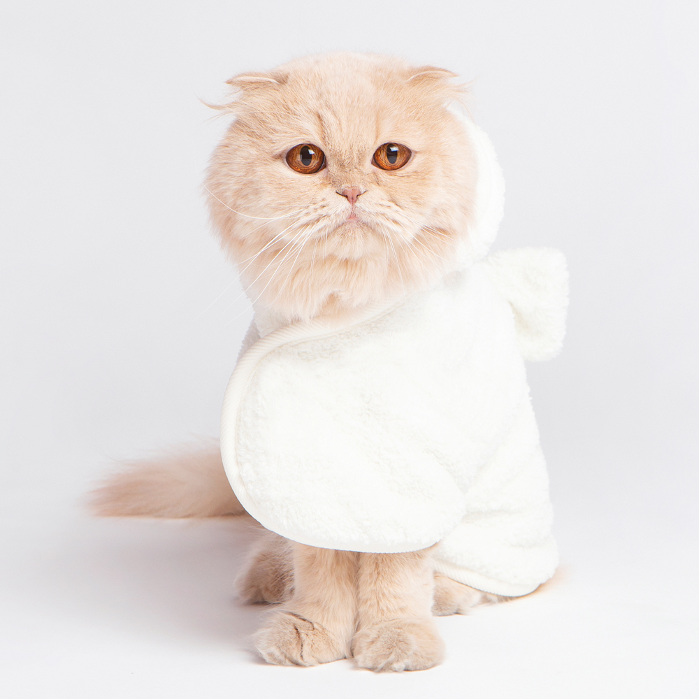 캣츠모리 물먹는목욕가운 강아지가운 고양이 목욕 샤워 펫타올 이미지 7