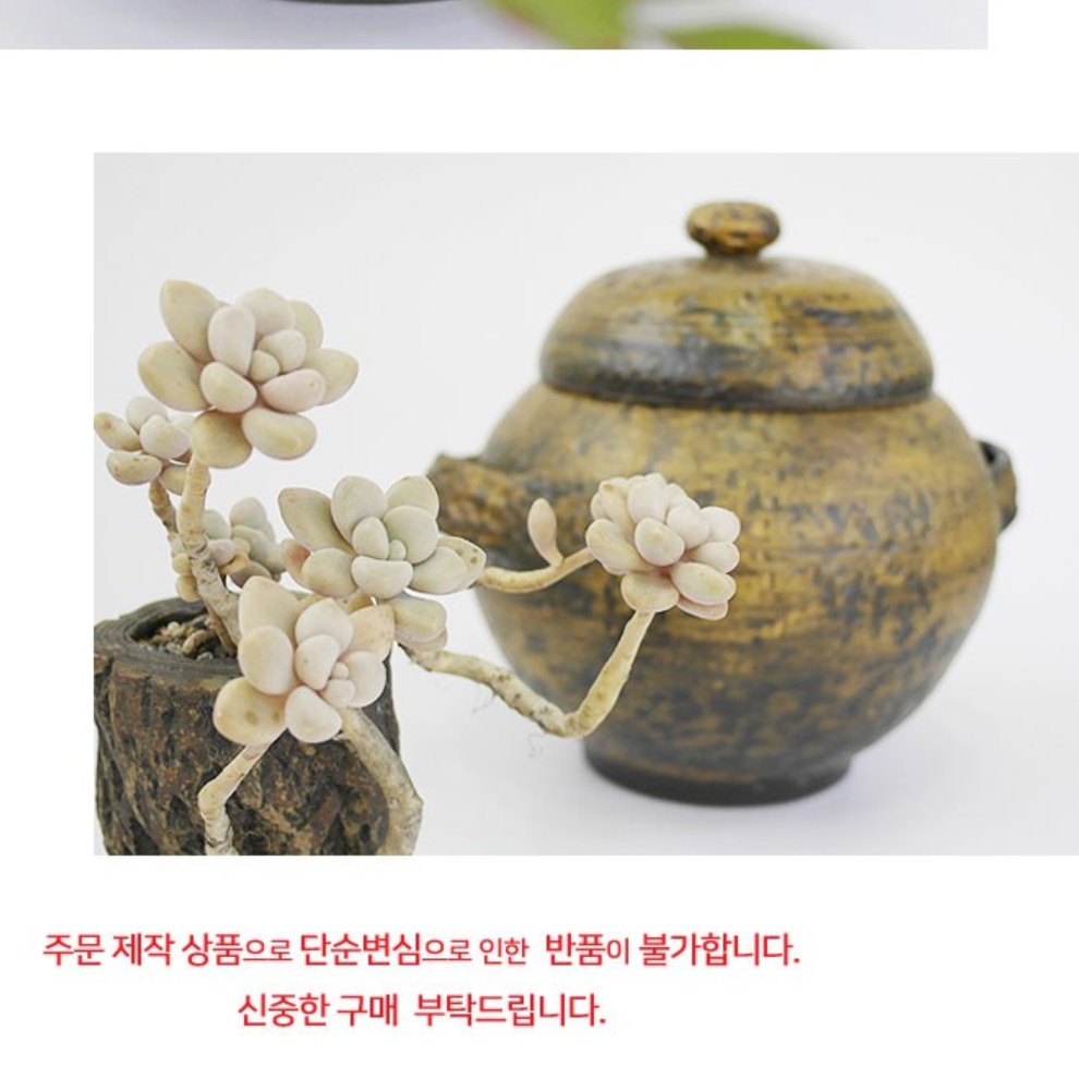 도자기 쌀통 항아리 쌀 벌레안생기는 쌀독 잡곡 8kg - 상세 이미지 3