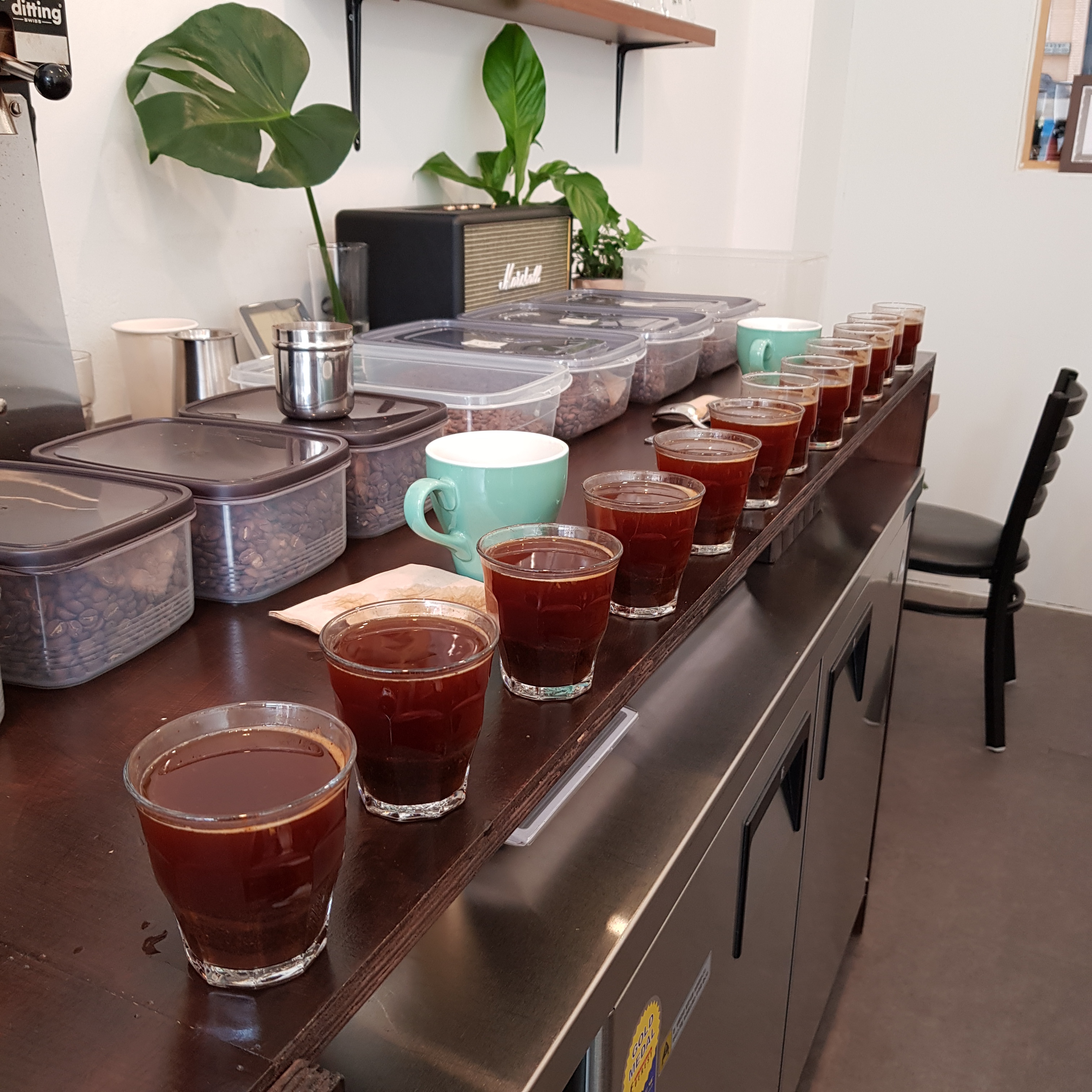 1kg 5개 카페 도매 원두납품 당일로스팅 스페셜티커피 업소용 에스프레소 블렌딩 커피 - 상세 이미지 3
