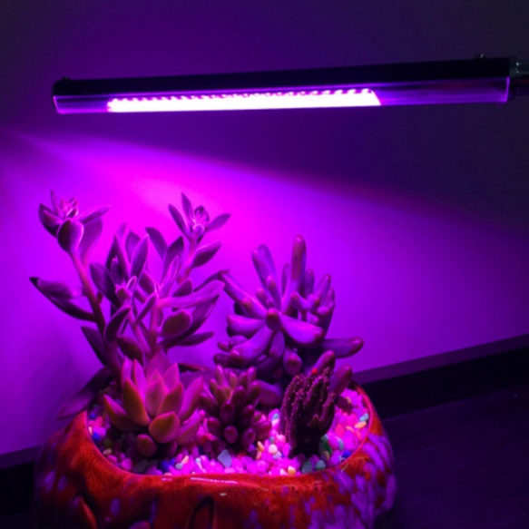 자바라 집게형 USB 5V 5W 식물 생장 등 식물 재배 등 식물용 LED 바 성장 조명 - 상세 이미지 5