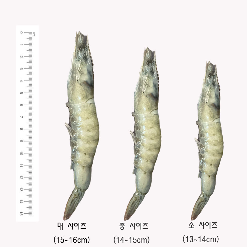 냉동 흰다리새우 2kg 대하 중하 소금구이 간장새우 에콰 사우디 페루 - 상세 이미지 5