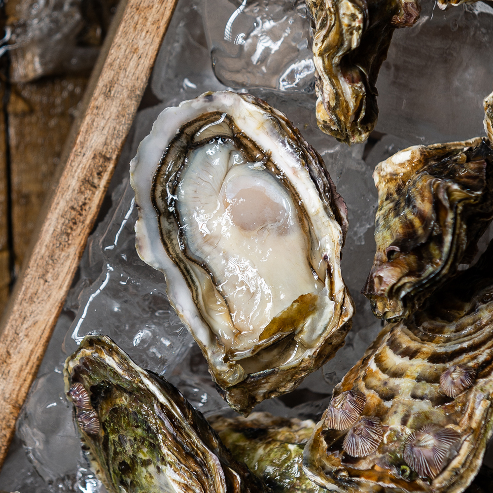 통영 생굴 500g 굴 석화 하프셀 제철 통영굴 제철 캠핑음식 이미지 2