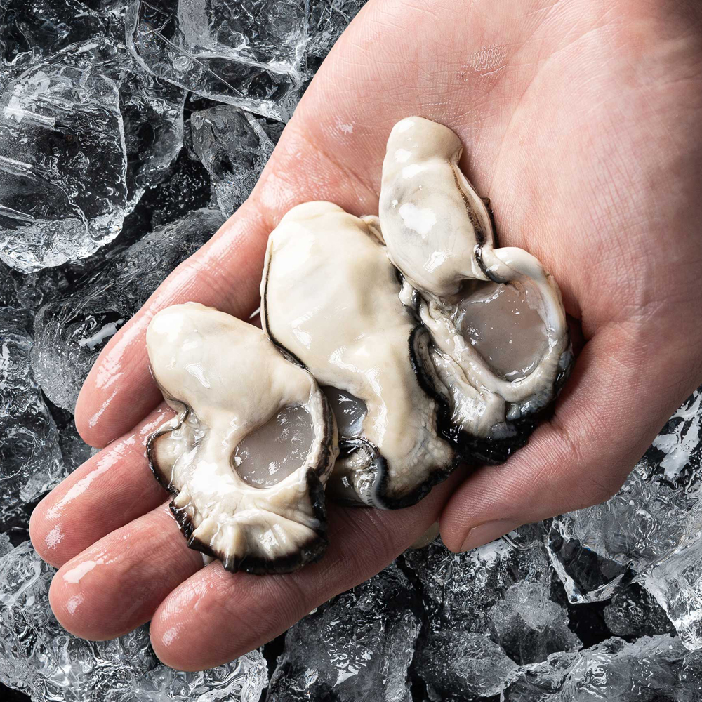 통영 생굴 500g 굴 석화 하프셀 제철 통영굴 제철 캠핑음식 이미지 4