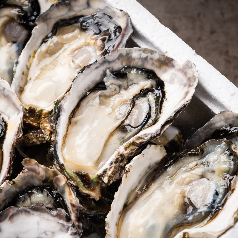 통영 생굴 500g 굴 석화 하프셀 제철 통영굴 제철 캠핑음식 이미지 3