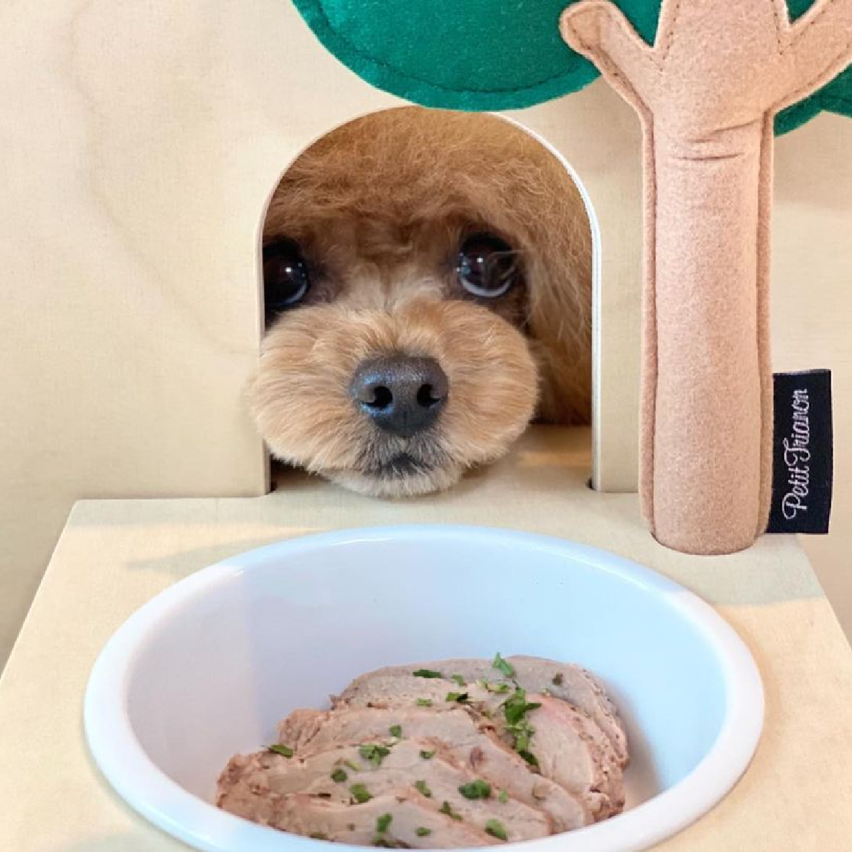 위닝푸드 강아지 소불고기 화식 반려견 수제 간식 사료 다이어트 알러지 습식