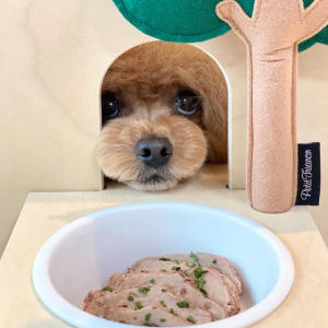 [위닝푸드] 강아지 고양이 수비드 간식 수비드밋 노견 보양식 영양식 특식... 솔직 후기 | 실제 사용자 리뷰 총정리 - 상품 이미지 2