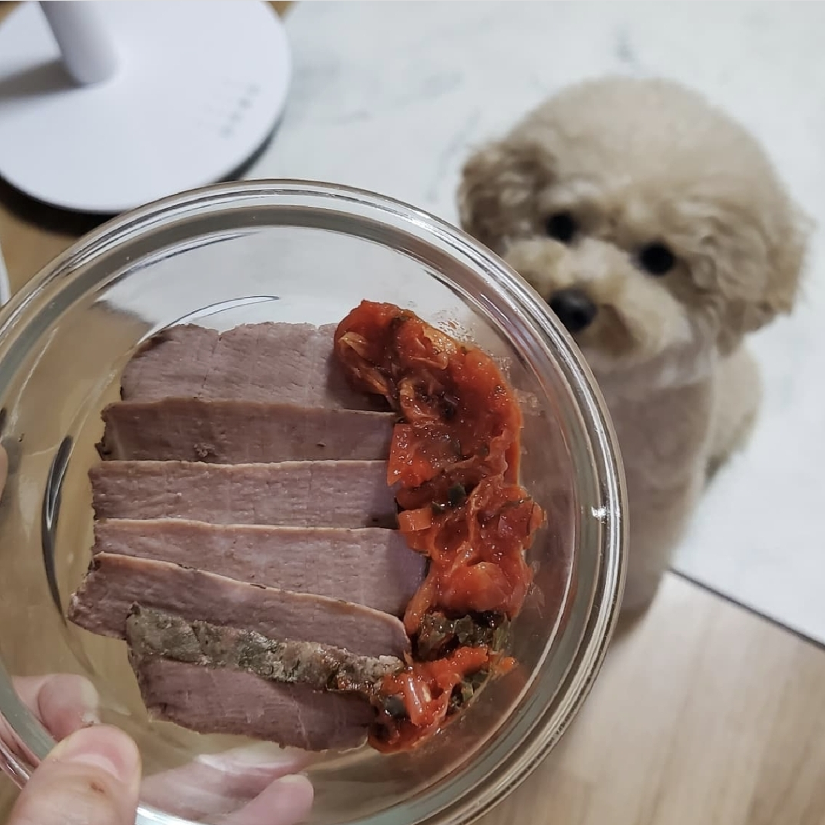 [위닝푸드] 강아지 고양이 수비드 간식 수비드밋 노견 보양식 영양식 특식 건강식 다이어트 이미지 3
