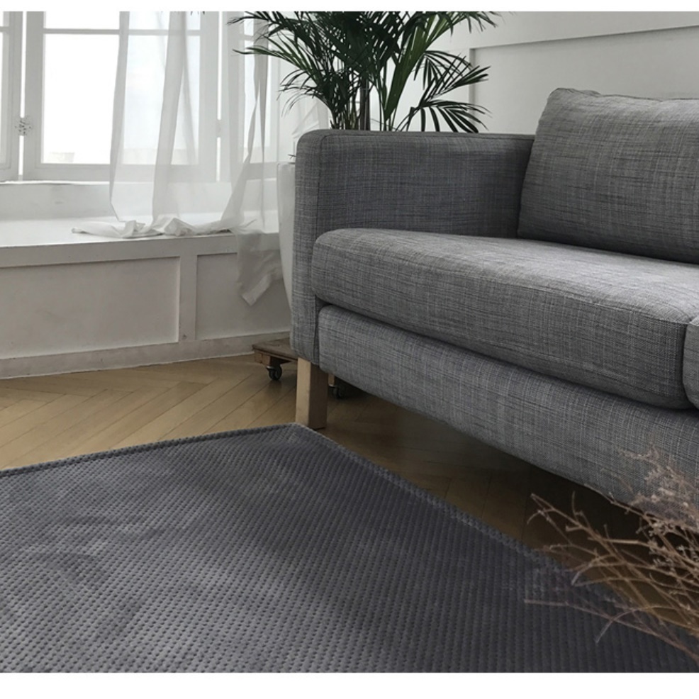 거실 패드 북유럽 카페트 고급 바닥 겨울 모던 카페트