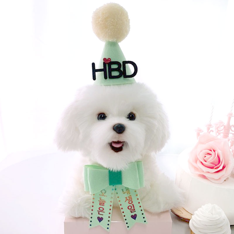 [무료배송★1시마감 당일출고] 강아지 고깔+리본화환 고양이 생일파티세트 - 상세 이미지 2