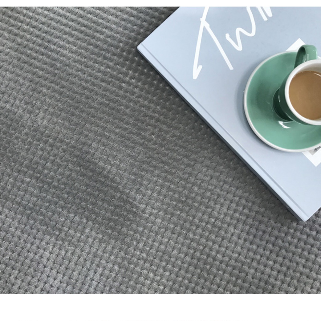 거실 패드 북유럽 카페트 고급 바닥 겨울 모던 카페트