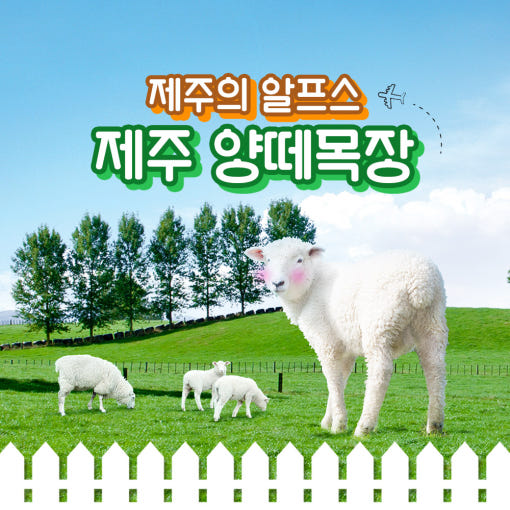 양떼목장 이미지