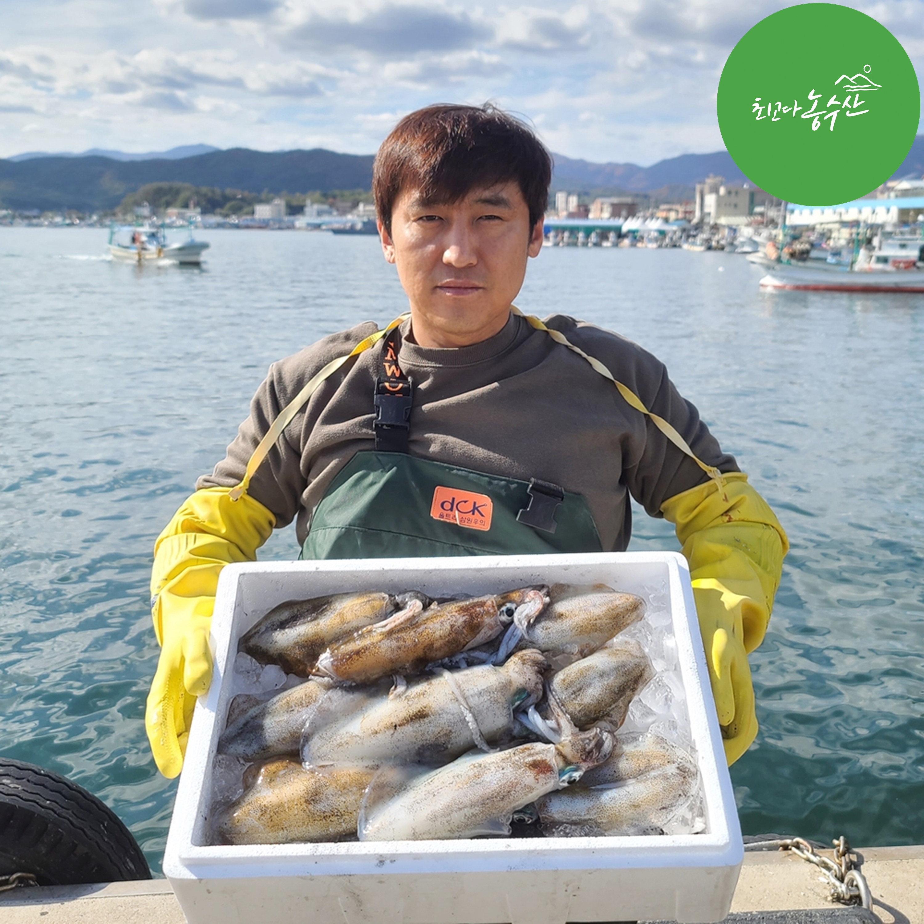 동해 반건조오징어 마른오징어 피데기 피대기 건오징어 파지 파품 속초 구룡포