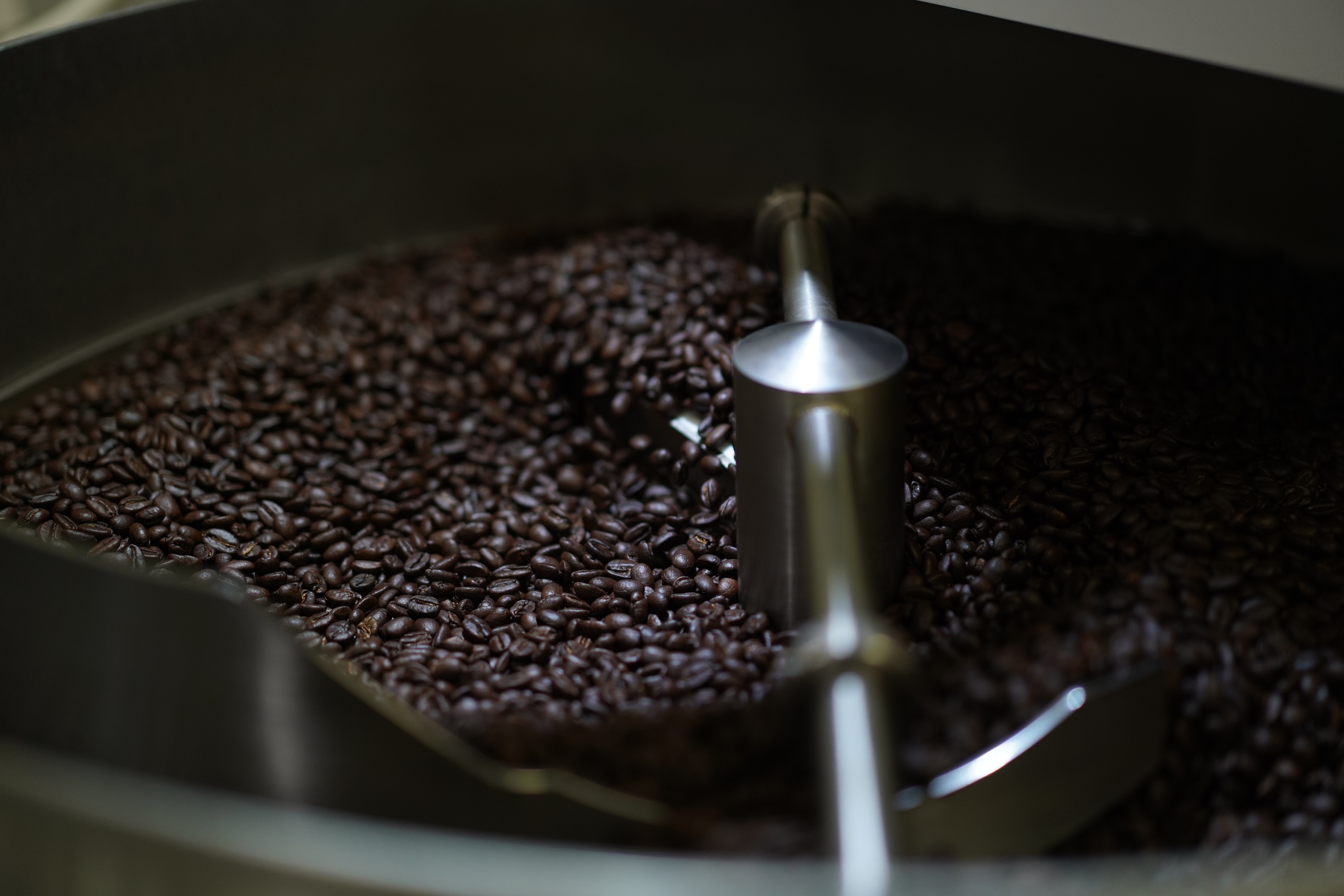 고소하고 진한 루비아 다크 브라운 홀빈, 1kg, 1개