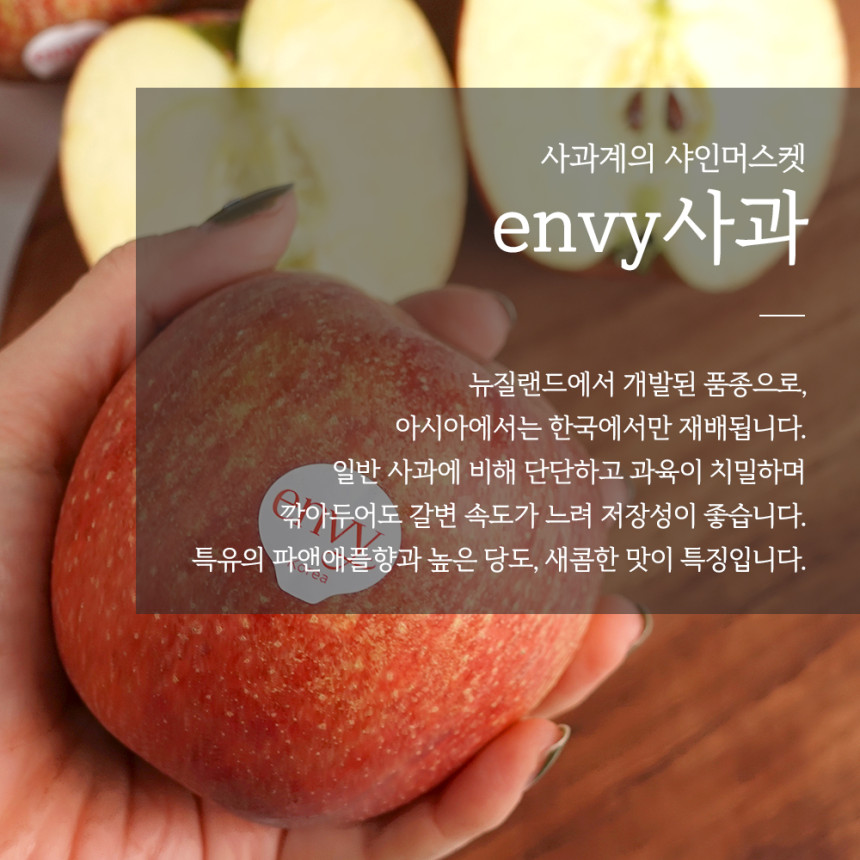 엔비라이프 이미지