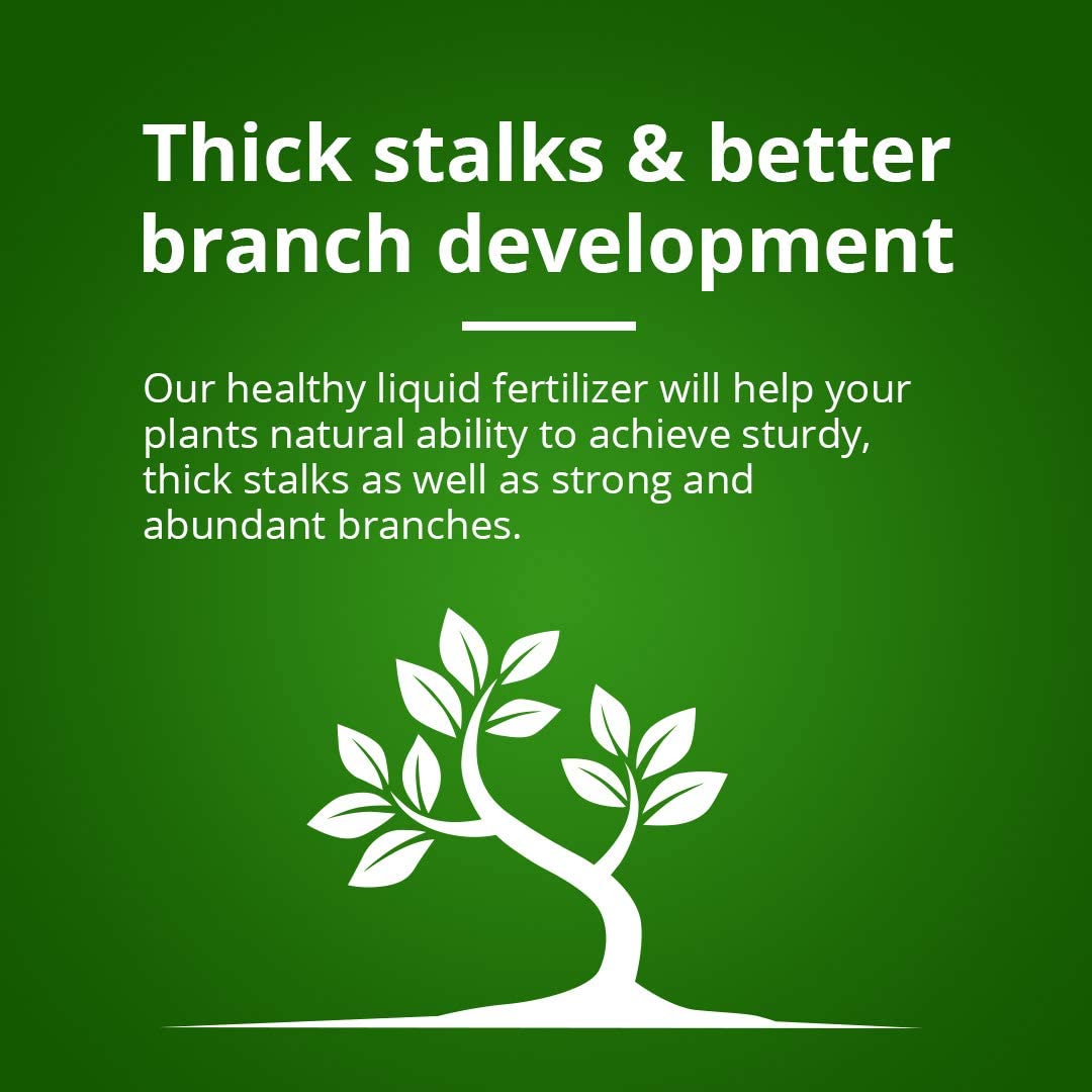 Humboldts Secret Tree Trunk 영양 성분 설명 이미지