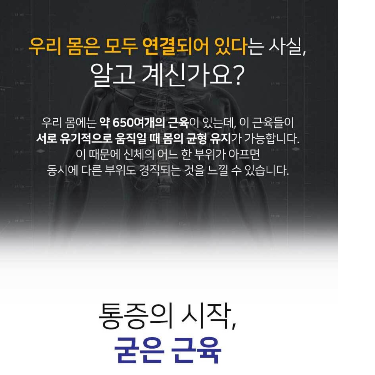 누워서하는 안마기 침대 안마기 공기압 스트레칭 이미지 7