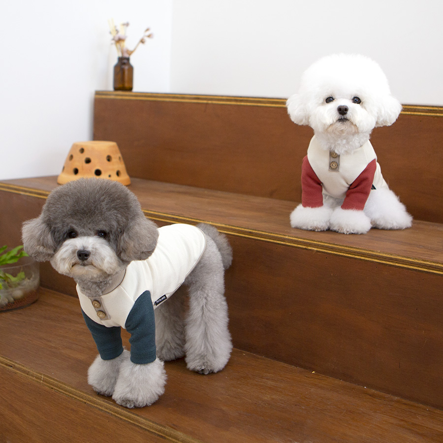 강아지옷 니트 티셔츠 실내복 코코넛니트 - 상품 이미지