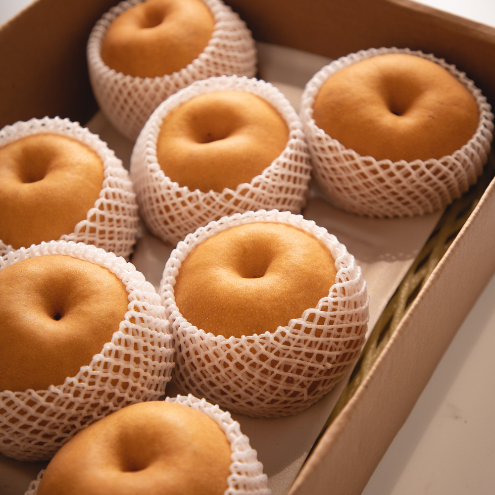 나주배 5kg 7.5kg 15kg 가정용 선물세트 상세 이미지 3