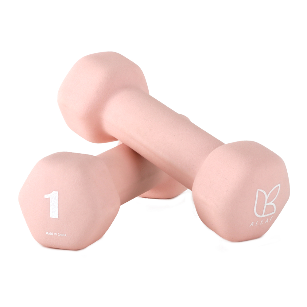 아리프 선인장 미용 아령 여자 홈트 덤벨 1kg, 2개, 큐피드 핑크 제품 이미지