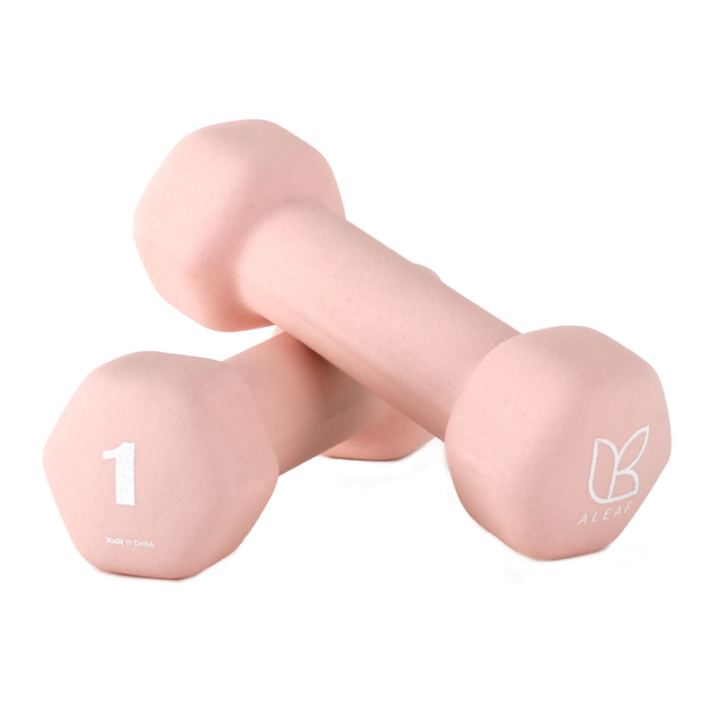 아리프 선인장 미용 아령 여자 덤벨 1kg 2개 큐피드 핑크 가격 비교 아리프 스포츠 아리프 선인장 미용 아령 여자 덤벨 1kg 2개 큐피드 핑크