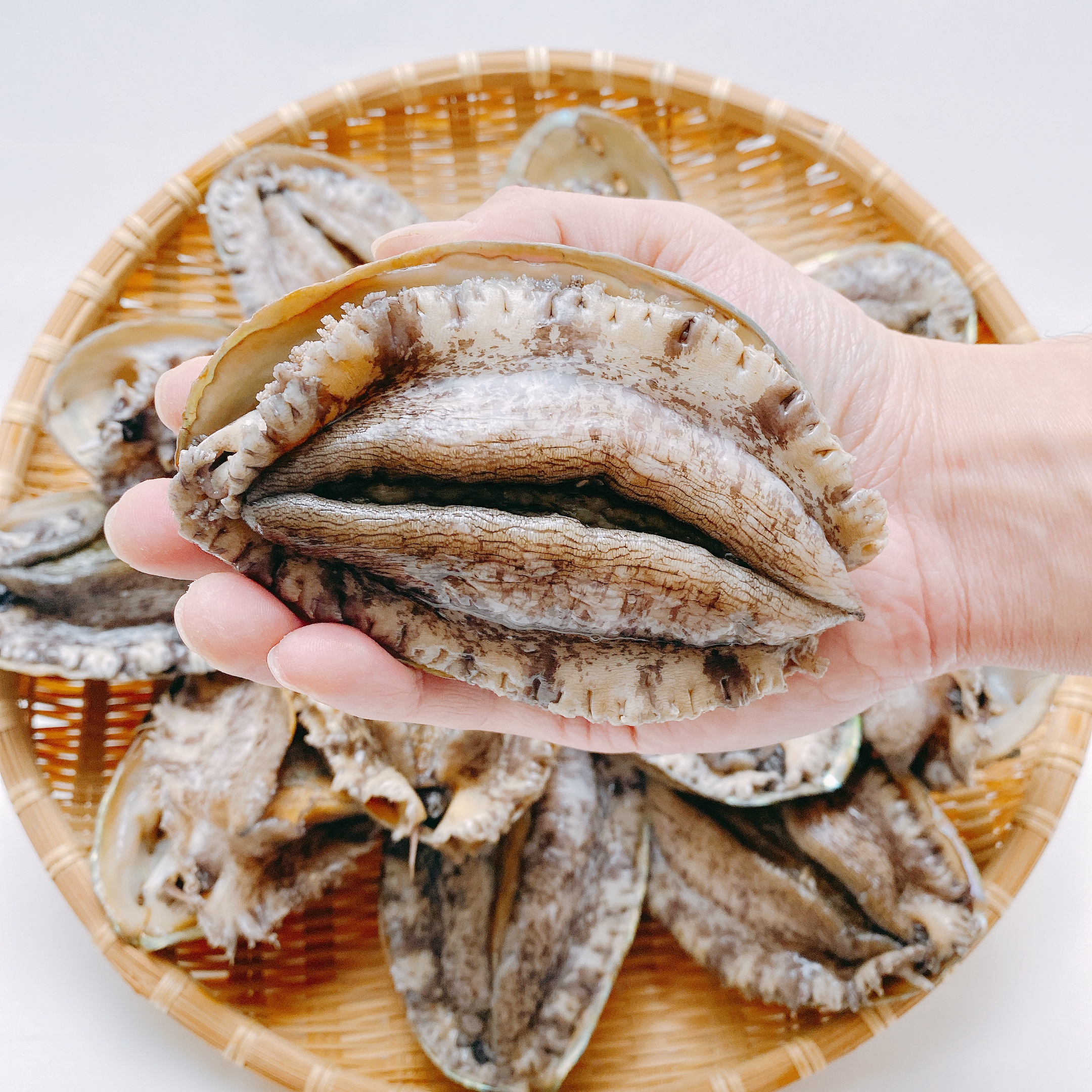 [신선특허] 내일받는 기삼전복 1kg 40-60미 손질도구/5미부터 60미까지 - 상세 이미지 2