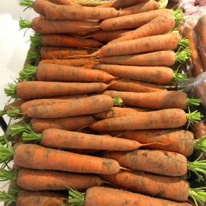 친환경마음밭 유기농 무농약 흙당근 제주구좌 3kg 5kg 맛있게 먹은 솔직 후기 - 상품 이미지 4